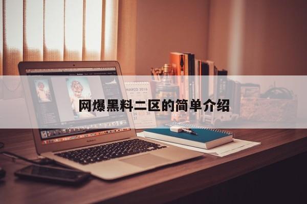 网爆黑料二区的简单介绍