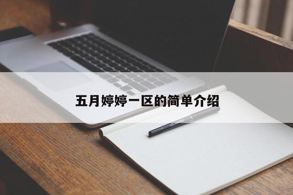 五月婷婷一区的简单介绍